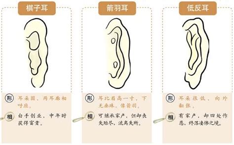 耳輪耳朵面相女|從耳朵看面相｜5點耳朵形狀及特徵，一窺性格與運